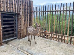 -白鹿原影视城