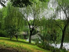 -尚贤河湿地