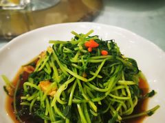 -丰收日(五角场店)