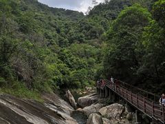 -广州白江湖森林公园