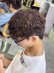 -藤野造型烫发染发