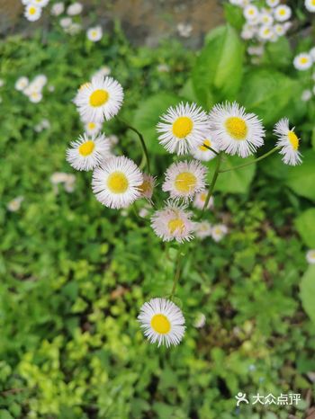 今天周末阴天，本来好像要下雨的，结果不下雨