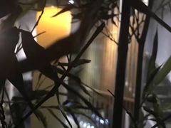 -泰·菩提树下[泰式按摩x精油SPAx肩颈头疗](新景店)
