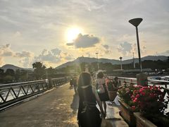 -珊瑚岛