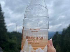 -梭布垭石林景区