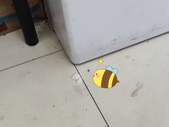 -王中王刨冰
