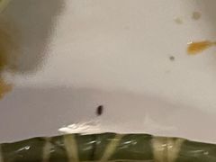 -滇道云南特色料理(康定路店)