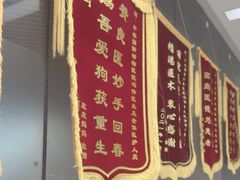-中农国际动物医院24小时·猫科·骨科·急重症中心