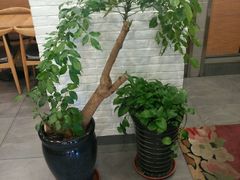 -李先生牛肉面大王(昌平鼓楼店)