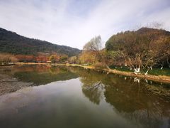 -八卦田遗址公园