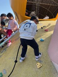 点击看大图 -季高兔窝窝亲子园(上海薰衣草公园店)