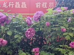 -洛阳龙门站