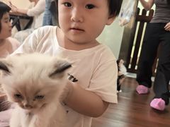 -楼上猫咖(罗湖店)