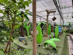 -南宫五洲植物乐园