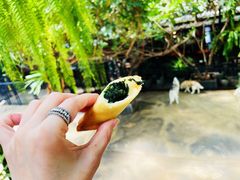 -TrueLove @ Neverland (Husky Cafe)