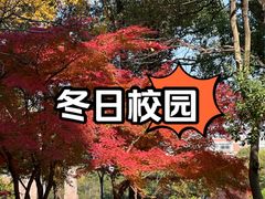 -杭州电子科技大学(下沙校区)