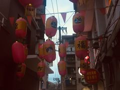 -猫咪博物馆(顶澳仔猫街店)