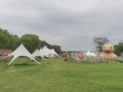-动邦皮划艇·桨板·独木舟·团建户外运动俱乐部