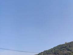 -上海佘山国家森林公园东门地面停车场