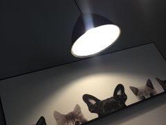 -吃饼人西餐(南开店)