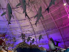 -烟台海昌鲸鲨海洋公园