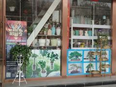 -万卉源鲜花店(百尚生活广场店)