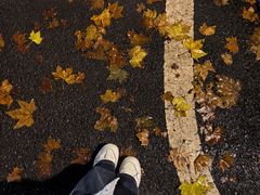 -河南省黄河迎宾馆