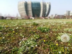 -苏州大学（独墅湖校区）-炳麟图书馆