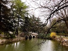 -西苑公园