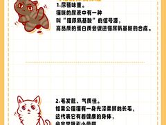 -美联众合动物医院·24h转诊中心
