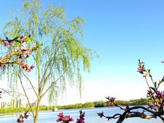 -大兴滨河森林公园