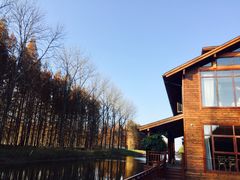 -黄海国家森林公园