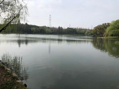 -新洲生态园