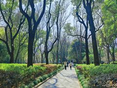 -徐家汇源景区-衡山公园