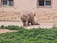 -大连森林动物园