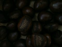 -德州小高糖炒栗子(十三局店)