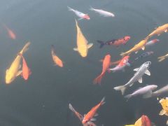 -广州神农草堂中医药博物馆