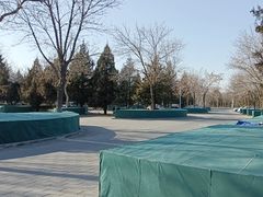 -绿堤公园