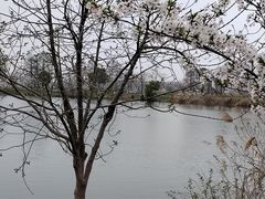 -金银湖国家城市湿地公园