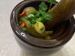 镭钵茄子-嫩芽·重庆菜馆(十八梯露台观景店)