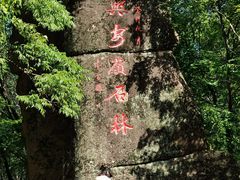 -汤旺河林海奇石景区