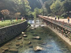 景点-宁波五龙潭景区