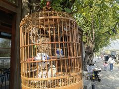 -小吊梨汤·北京菜(香山店)