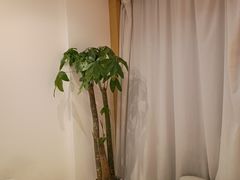 -巴拉吉·SPA·按摩养生馆