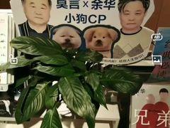 -新华文创·光的空间