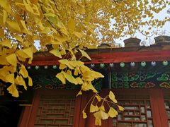 -水峪民俗村