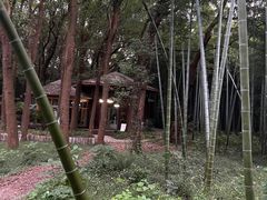 -同里国家湿地公园