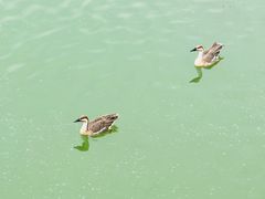 -南海子公园