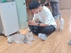 -MOCHA明星猫咖(田子坊店)