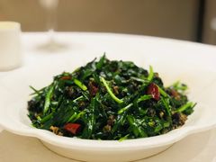 -红豆杉庄会议中心